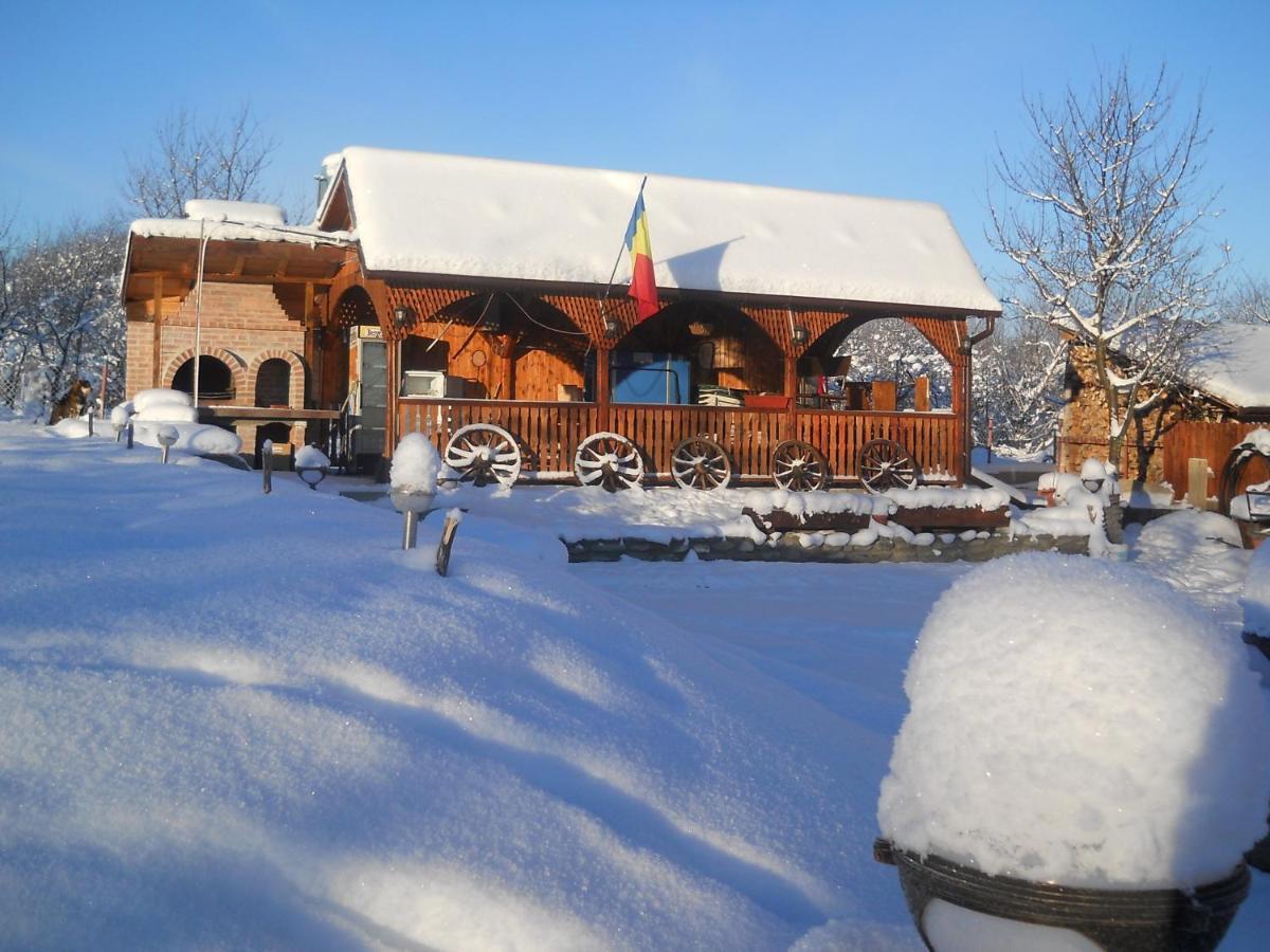 Pensiunea Roua Muntilor Sîmbăta de Sus エクステリア 写真