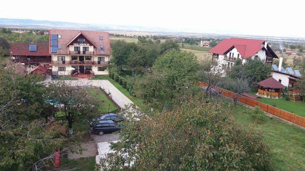 Pensiunea Roua Muntilor Sîmbăta de Sus エクステリア 写真