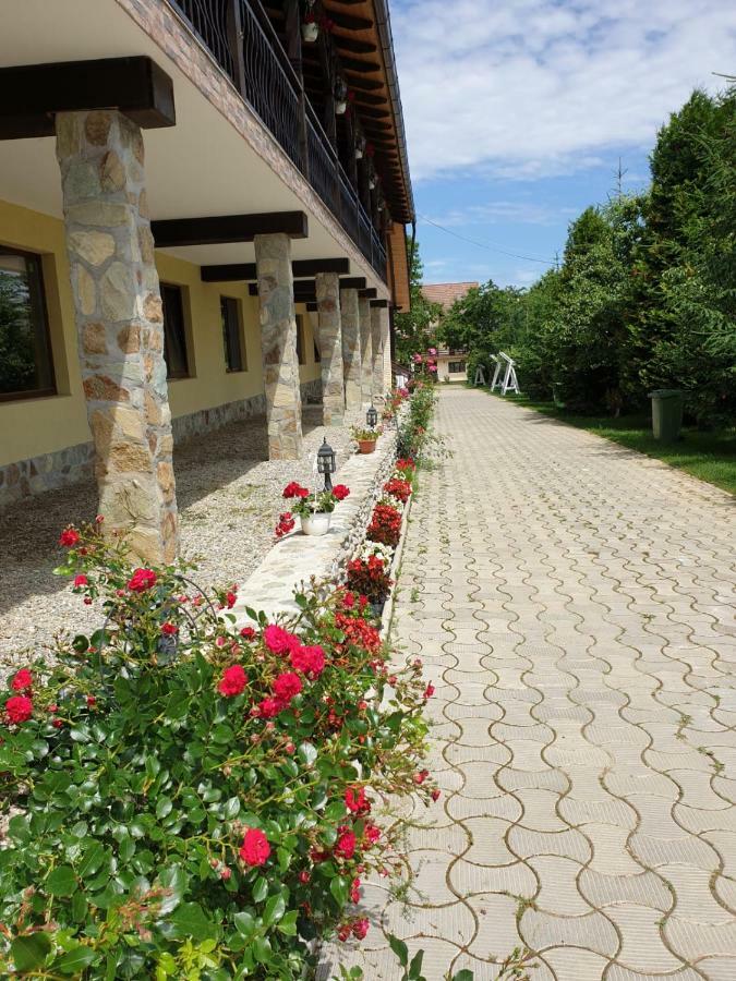 Pensiunea Roua Muntilor Sîmbăta de Sus エクステリア 写真